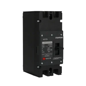 Interruptor Automático Caja Moldeada 1000 VDC 2P 250 A MCCB DC
